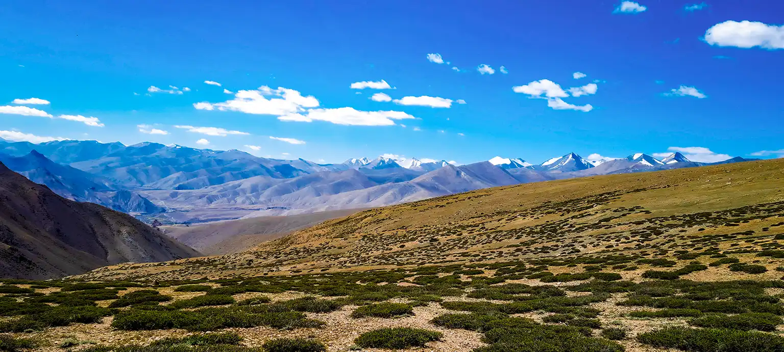 Dzo Jongo East Peak With Markha Valley Trek